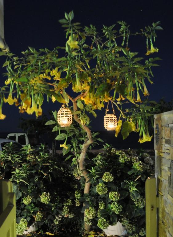 Studios Yalos โคเรฟตอน ภายนอก รูปภาพ